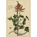 Rosalind Wheeler Botanical Study On Linen IV Canvas in White | 36 H x 24 W x 1.25 D in | Wayfair B4E6DA17F9894382B3017B6A0455C85F