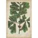 Gracie Oaks Oak Leaves & Acorns I Canvas | 30 H x 20 W x 1.25 D in | Wayfair 7DC4F3662E7441DB80076C9A8F6BC9F2