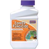 Bonide 811 Concentrate Liquid Copper Fungicide, 1 Pt - 1 Pt