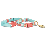 Turquoise & Coral Collars for Small Dogs, X-Small/Small, Pack of 2, Multi-Color