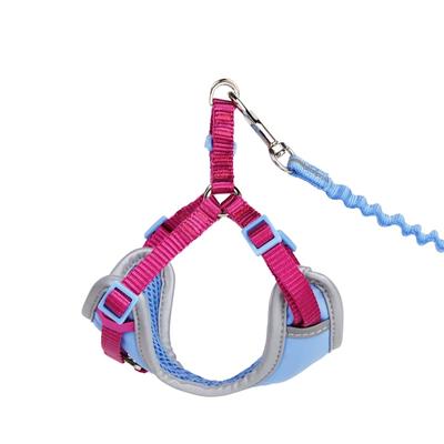 YOULY Purple Outdoor Cat Harness & Lead