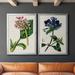Red Barrel Studio® Antique Floral Folio III - 2 Piece Picture Frame Print Set on Canvas Canvas, in Blue/Green/Pink | Wayfair