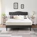 Taomika 3-pieces Bedroom Set with Height Adjustable Upholstered Dark Grey Bed