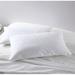 Alwyn Home Kenton Plush Support Pillow Polyester/Polyfill/Polyester/Microfiber | 20 H x 28 W x 4 D in | Wayfair 6D992DCF29D84B04BD2CBBD4AC5577C8