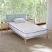 Medium 8" Foam Mattress - Spinal Solution | 80 H x 36 W 8 D in Wayfair FM800t-3/0xl-1