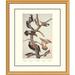 Global Gallery Hairy Woodpecker by John James Audubon Framed Painting Print Plastic/Metal in Green | 34 W x 1.5 D in | Wayfair DPF-132799-2430-102