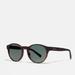 Coach Accessories | Coach Wythe Round Unisex Sunglasses Style # L1095 - Matte Dark Tortoise Nwt | Color: Brown | Size: Os