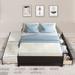 Latitude Run® Modern Bed w/ Trundle Bed & Storage Drawers, Full Wood in Black | 15.66 H x 57 W x 79.5 D in | Wayfair