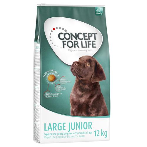 12kg Large Junior Concept for Life Hundefutter trocken
