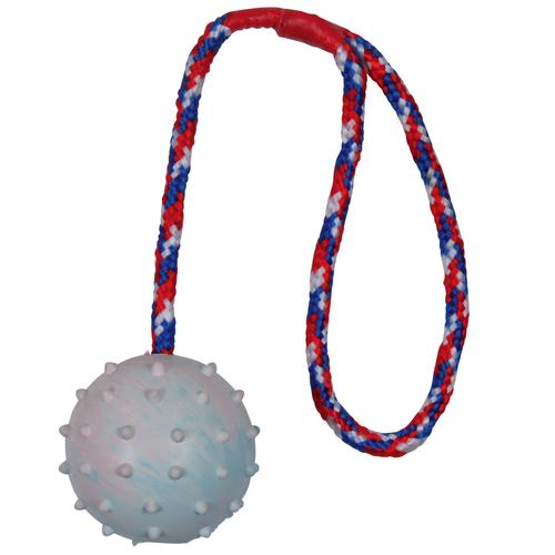 Trixie Gummiball mit Schnur Hundespielzeug 6 Bälle