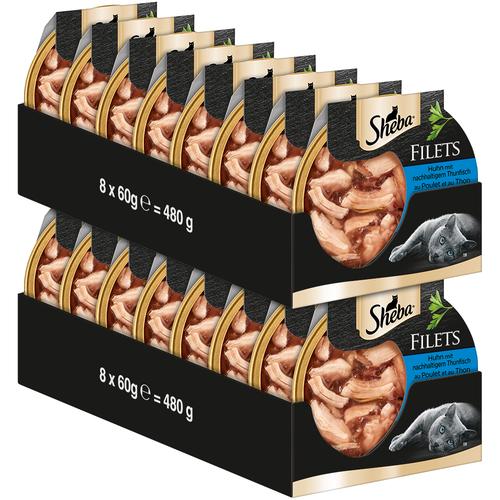 16x 60g Katzenfutter Sheba Filets Huhn mit Thunfisch Katzenfutter nass