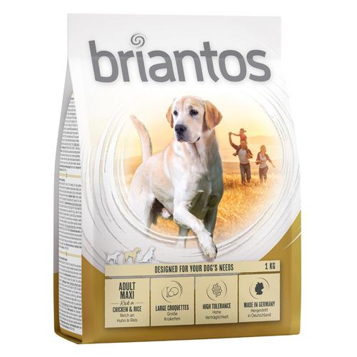 Briantos Adult Maxi - Sparpaket: 4 x 1 kg