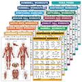 16 Pack - Exercise Workout Poster Set: Dumbbell, Suspension, Kettlebell, Bands, Medicine Ball, Battle Rope, Stretching, Bodyweight, Barbell, Yoga, Exercise Ball (PAPER - NOT LAMINATED, 18" x 24")