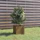 Vidaxl - Fioriera da Giardino, Flowerpot Miele 31x31x31 cm Legno Massello di Pino