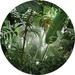 Bayou Breeze Stockville Jungle Scene 5' L x 55" W 2-Panel Wall Mural Non-Woven in Green | 55 W in | Wayfair EBEF13C463CE4B0FA90E8D7BAFF9ACE6