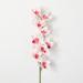 Willa Arlo™ Interiors Marcantonio Cybmidum Orchid Stems Polyester in Red/Pink | 36 H x 6 W x 3 D in | Wayfair 35C62E1C13544035967EB55426416B65