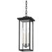 Eden 19 1/2" High Textured Black Outdoor Hanging Light