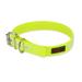 Yellow Play Glow Buckle Dog Collar, Large/X-Large