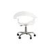Orren Ellis Studio Elia Acrylic Swivel Chair Plastic/Acrylic in Gray/White | 28 W x 23 D in | Wayfair 4335CAA021C2408BA30BE5708AF6AD8D