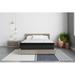 Full Medium 13.5" Hybrid Mattress - Alwyn Home Bauch | 75 H x 54 W 13.5 D in Wayfair 5AE5A49712D94965B835DD5DCCCE1605