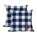 Chicago Bears 2-Pack Buffalo Check Plaid Outdoor Pillow Set