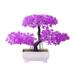 Primrue Plant Mold Lightweight Vivid Exquisite Mini in Planter Plastic in Indigo | 8.66 H x 8.66 W x 5.12 D in | Wayfair