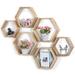 Corrigan Studio® Hexagon Floating Shelf Wall Mounted 6 Pack en Farmhouse Storage Honeycomb Wall Shelves in Brown | Wayfair