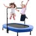 Himimi 4.7' Foldable Oval Fitness Trampoline w/ Handlebar in Blue/Black | Wayfair US01+WWMA005144_BL