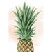 Bayou Breeze Pineapple On Coral I by Grace Popp - Wrapped Canvas Print Canvas | 30 H x 20 W x 1.25 D in | Wayfair 5FFE47C74E9E4B30A29D0B22CEE32FFE