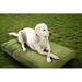 Tucker Murphy Pet™ IndoorOutdoor Sunbrella Dog Bed Polyester in Green/White | 4 H x 36 W x 26 D in | Wayfair 69103839CB8A4B268EA131FCE12B7CEA