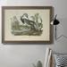 Rosecliff Heights Louisiana Heron by John Audubon - Picture Frame Painting on Canvas Canvas, Solid Wood in White | 24 H x 36 W x 2.5 D in | Wayfair