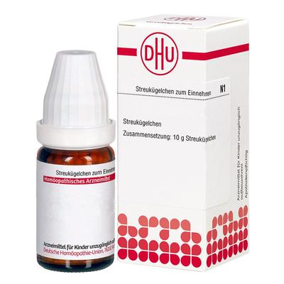 Myrrhis odorata D 30 Globuli 10 g Image