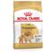 Bhn Breed Pomaranian Adult - nourriture sèche pour Spitz nain adulte - 500 g - Royal Canin