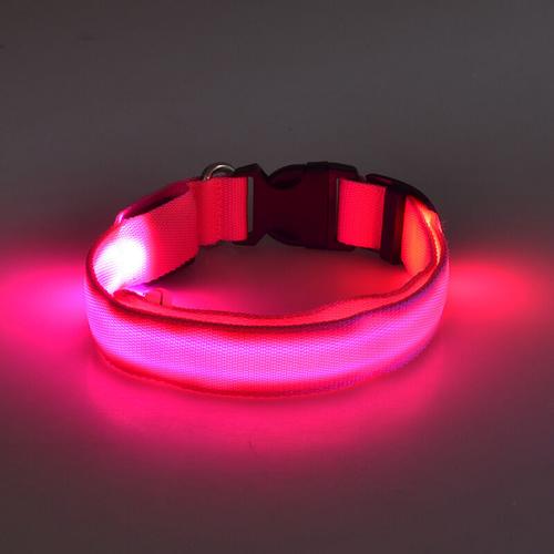 LED Hundehalsband LED Licht Hundehalsband USB Wiederaufladbare Sicherheit Hundehalsband Rosa Hund