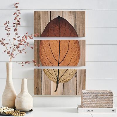 Split Leaf Canvases, Set Of Three - Grandin Road