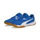 PUMA Unisex Solarflash Ii Indoor-Pumps, Puma Royal Puma White Gum, 37 EU