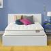 King Firm 11" Innerspring Mattress - Simmons Alexandria | 79.5 H x 76 W 11 D in Wayfair 700812631-1060