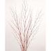 Primrue Mixed Stems Natural Fibers, Cotton in White | 48 H x 4 W x 4 D in | Wayfair 8CB6DFBCD49640538F4DDEC15D279A5B