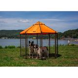 Advantek Pet Gazebo Dog Kennel Metal in Orange/Gray/Green | 60.5 H x 65 W x 65 D in | Wayfair 23405DS