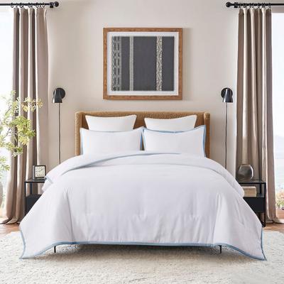 Framed Down Alternative Comforter Set by St. James Home in Blue Fog (Size TWIN)