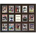 New England Patriots Super Bowl LI Champions 16'' x 20'' Plaque