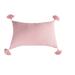 Bree Blush Woven Throw Pillow Decor Decoration Throw and Accent Woven Throw Pillow for Bedding Sofa or Couch