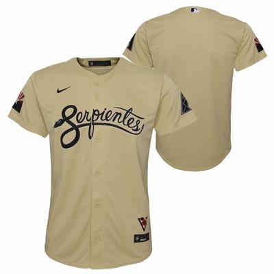 Arizona Diamondbacks Nike Offizielles Replica City Connect Trikot -Jugend Image