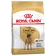 2 x 12 kg Great Dane Adult Großgebinde Royal Canin Hundefutter trocken