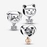 Ensemble de Charms Chien & Chat