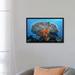 East Urban Home 'Soft Corals Grow Beneath a Large Table Coral' Photographic Print on Canvas Canvas, in Blue/Gray | 18 H x 26 W x 1.5 D in | Wayfair