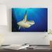 East Urban Home 'A Green Sea Turtle Swims by a Reef Under the Sun, North Sulawesi, Indonesia' Photographic Print on Canvas Canvas | Wayfair