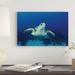 East Urban Home Hawksbill Sea Turtle by Amanda Nicholls - Wrapped Canvas Photograph Print Canvas in Blue | 12 H x 18 W x 1.5 D in | Wayfair