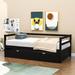 Red Barrel Studio® Ariaa Modern Twin Size Wood Daybed w/ Trundle Wood in Brown | 30 H x 41 W x 79 D in | Wayfair D06E46BDA7E34916940C7C774A116610