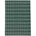 White 36 x 24 x 0.08 in Area Rug - Gracie Oaks SIMPLE GINGHAM & PLAID GREEN Outdoor Rug By Becky Bailey Polyester | 36 H x 24 W x 0.08 D in | Wayfair